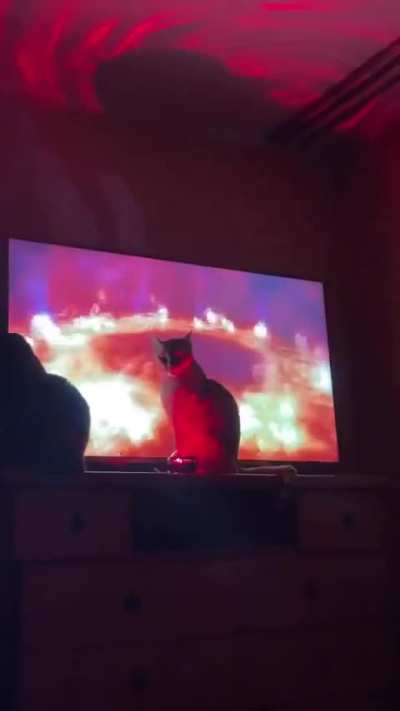 GIVE ME MY TREATS 😡