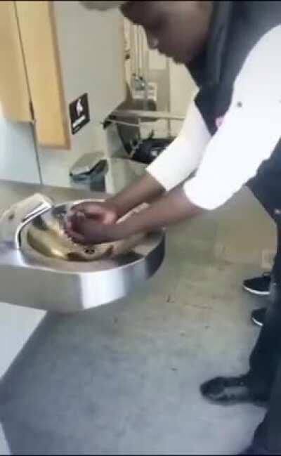 Another chapter in the history of race and toilets