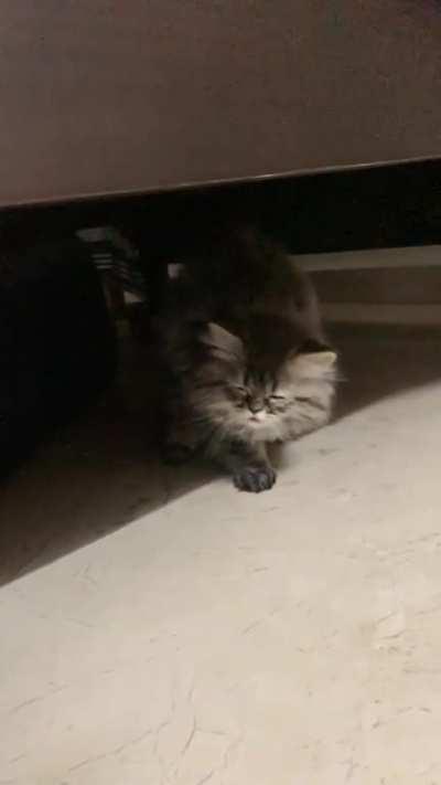 Who dares wake me up?! And did you bring food?