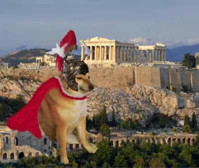 Cheemsander The Great Macedonian King