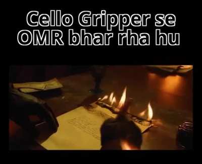 Hauser XO is the best