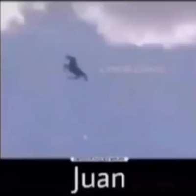 Blursed_fly juan