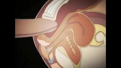 Switching to Anal (Discovery) [Foxy Nudes 2 (23:56)]