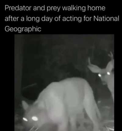 Let's go get a drink or something