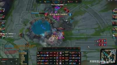 Chinese Fiora King 0.1 second 4 vitals