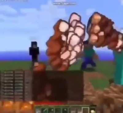 POV : Your Minecraft Dream (CTTO)