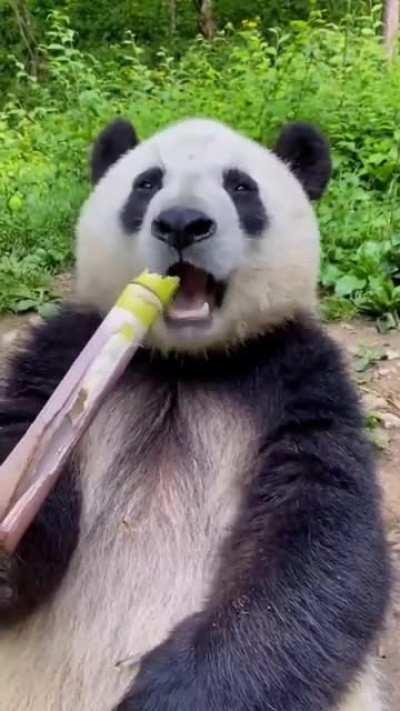 Хватит вкалывать, пойдём пожрём?!