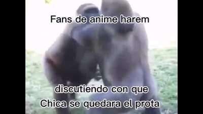 fan de harem promedio