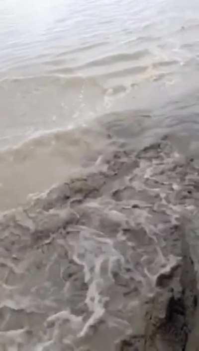 This would make a great photo