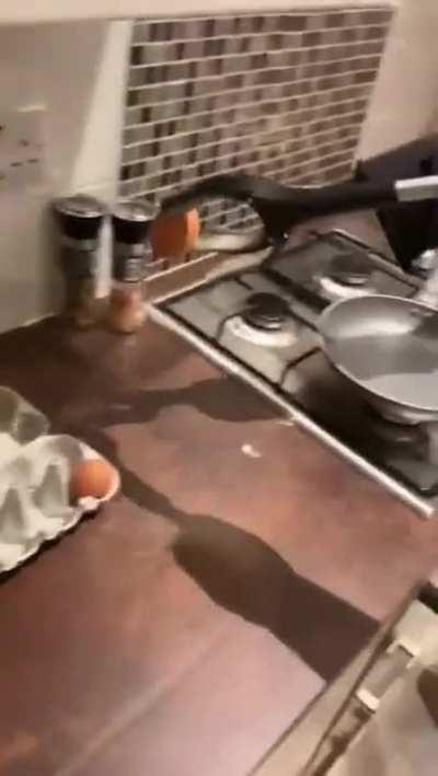 Pancake Doctor, Enslaver of the Hungry