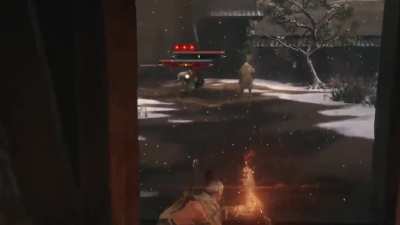 Sekiro but I have no idea what this mod is doing