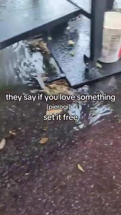 My pierogi people need me