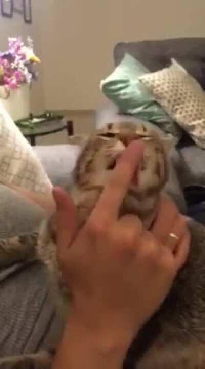 Helping him with the blind spots.