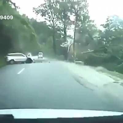 Nature doesn't care where we build our roads