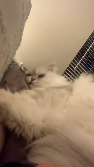 Cloud’s pillow cuddle roll