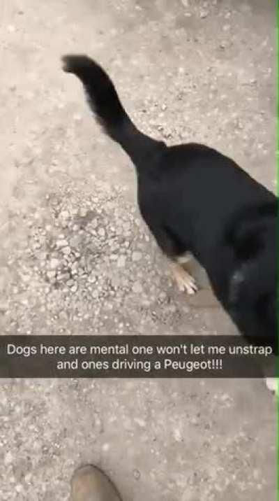 quite the turn of events