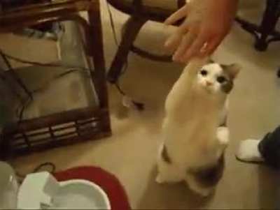 High Five of the day...