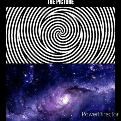 Stare at the picture for 20 seconds then look at the picture below