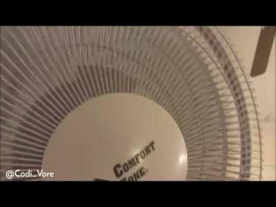 Codi Vore Fucks A Fan.