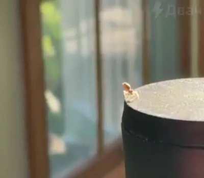 🔥 Spider shooting web