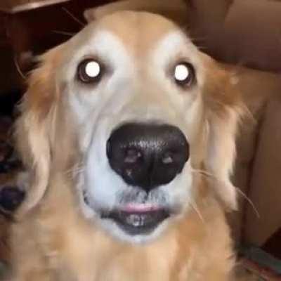 Nassus when he sees he's laning against Sett