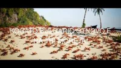 когато България отново е на три морета, ама няма да се случи никога