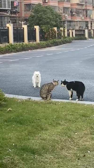 When you can't read the body language