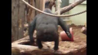 This post is cursed! You will die in 24 hours unless you masturbate to the video below!