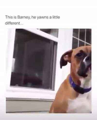 Вызывайте экзорциста