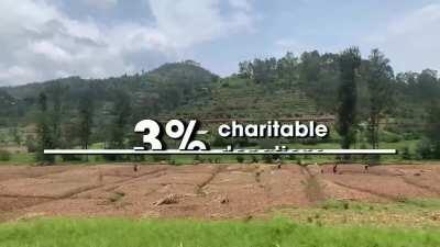 An update for WSB from the Dian Fossey Gorilla Fund