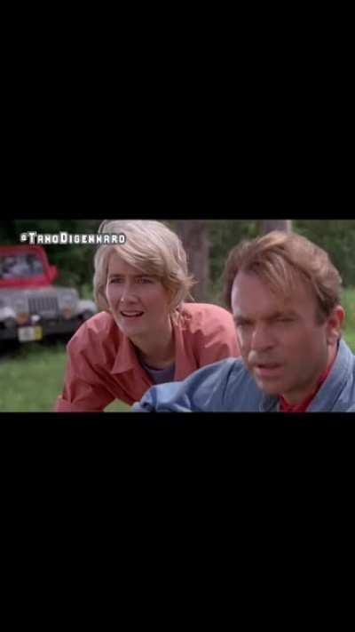 Bien venidos a Carpinland