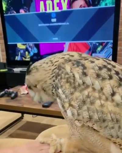 You will not win this one human!