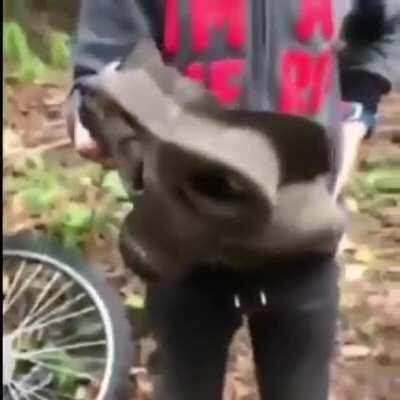 Kai randi Černobylį