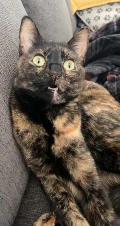 She’s seen some shit