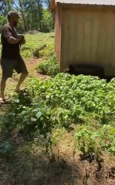 Ты что-то попутал, мужик