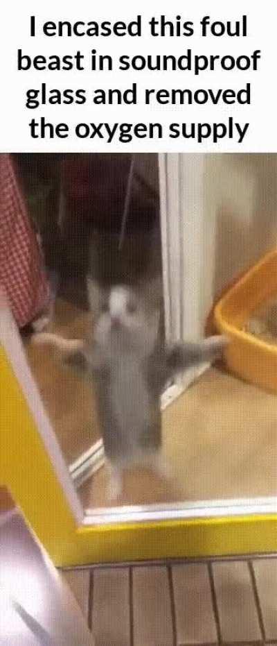 No one will hear him