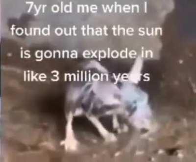 My timbers got shivered