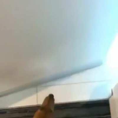 His favorite place is his bed.