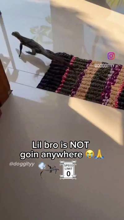 Lil bro not goin anywhere