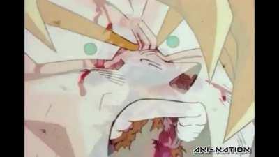 When you get the LF animation and get 2 gohans