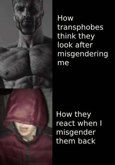 I spent too long on this lol