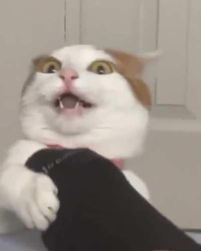 emotions and incredible game