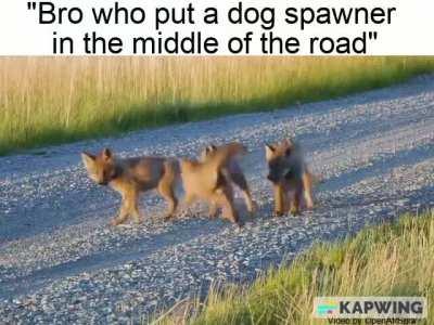 No way they added mob spawner irl