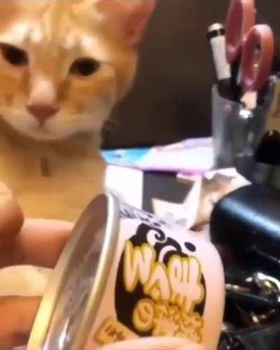 Always Ready For Food