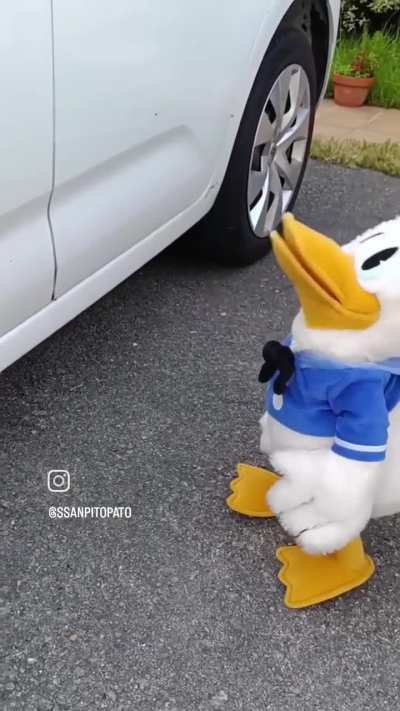 Donald and his car