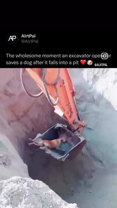 The wholesome moment an excavator operator saves a dog after it falls into a pit