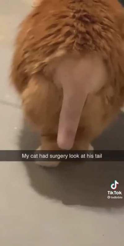 thought this belonged here