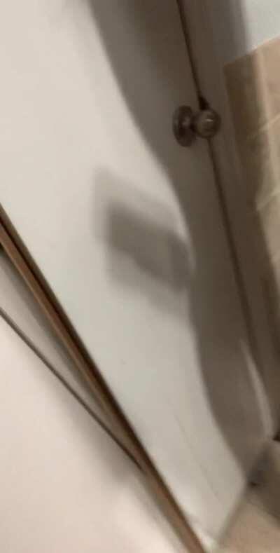 I hope you enjoy my tiny body