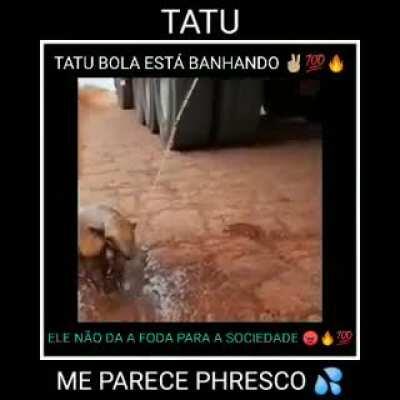 guys waht does it say i dont undersant