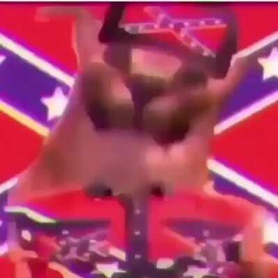 bingus memes: why is this cat bald? floppa memes: